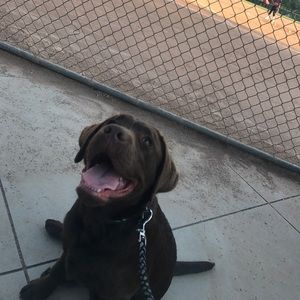 Meet your Posher, Andrea